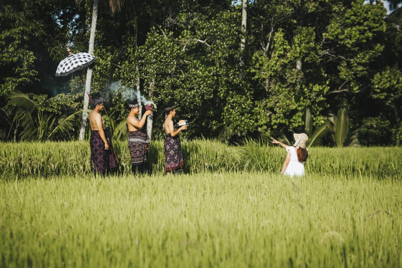 Sunshine Villas Ubud Экстерьер фото